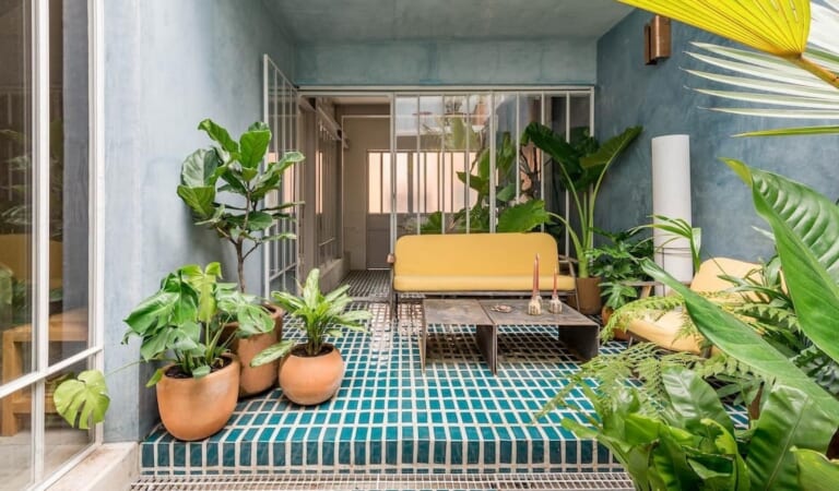 The Best Airbnbs in Mexico City to Book for Your Next Getaway