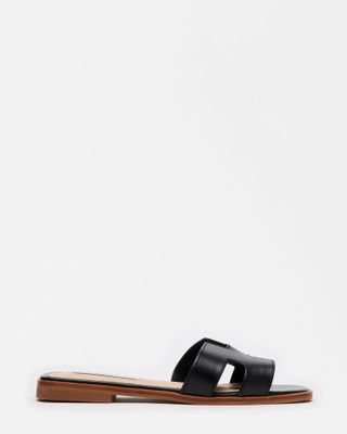 Hadyn Black Leather Sandal | Women's Designer Sandals – Steve Madden