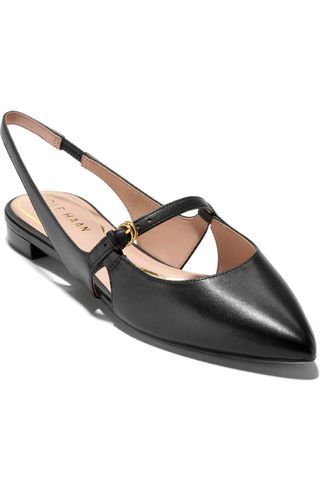 Anya Slingback Mary Jane Pointed Toe Flat