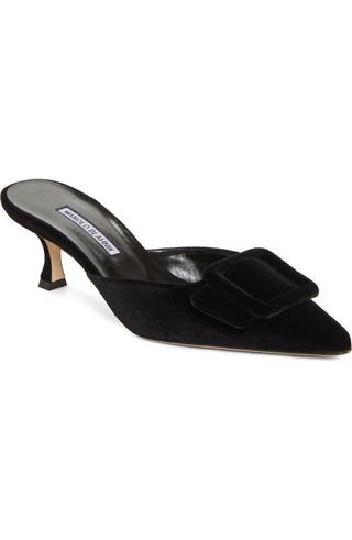 Maysale Buckle Pointed Toe Mule