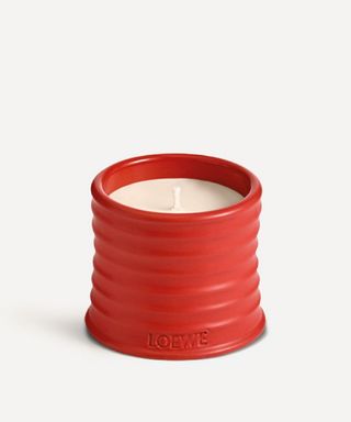 Small Tomato Leaves Candle