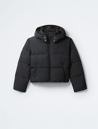 Calvin Klein Short Hooded Puffer Jacket