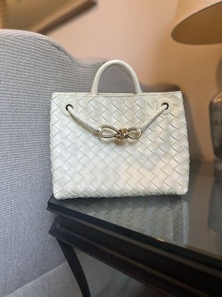 Bottega Veneta Small Andiamo Bag 