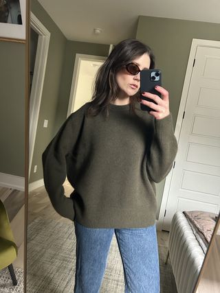 Aritzia plush cashmere oversized crew sweater