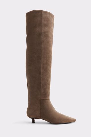 Aldo Muttsee Knee-High Boot