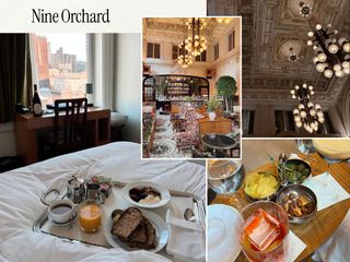 a collage of influencer and professional images featuring the best NYC hotels to book to spend the holidays in New York