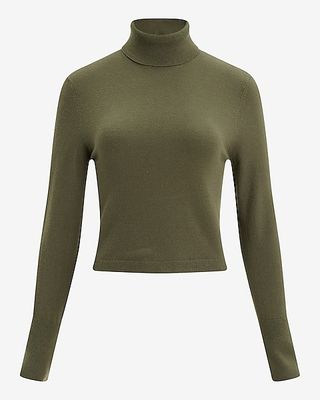 Express, Turtleneck Cropped Sweater