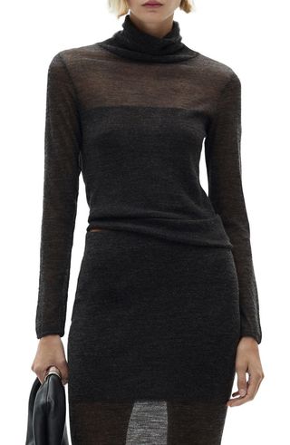 Semisheer Turtleneck Sweater