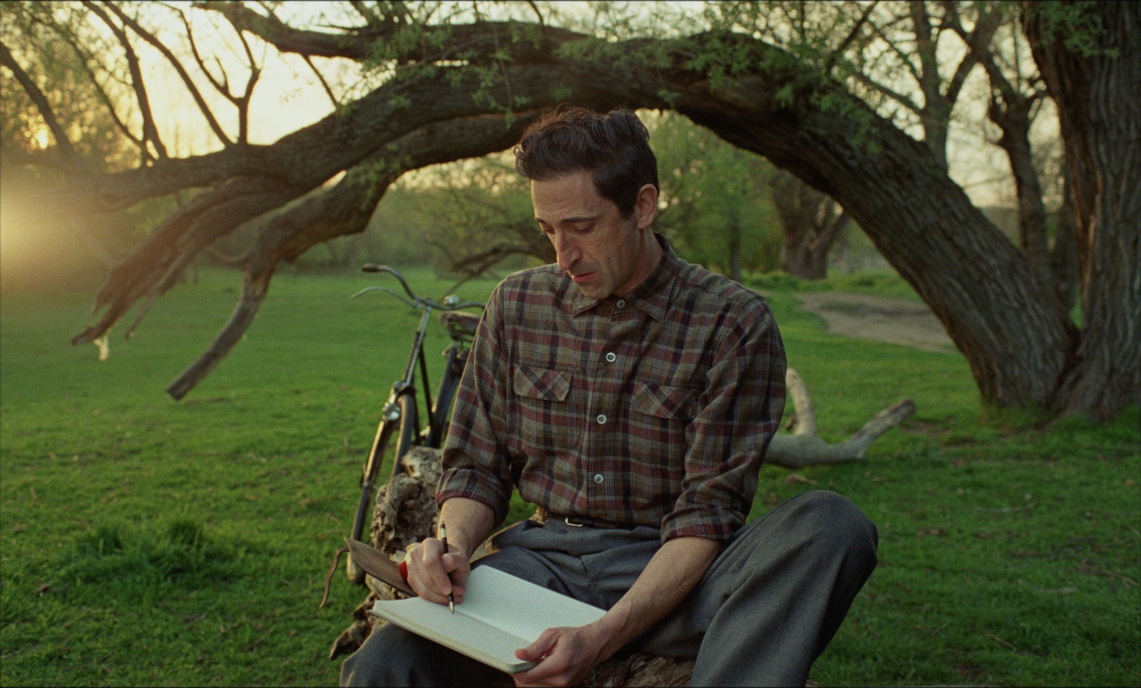 Image may contain Adrien Brody Person Sitting Grass Plant Reading Face Head Photography Portrait Adult and Tree