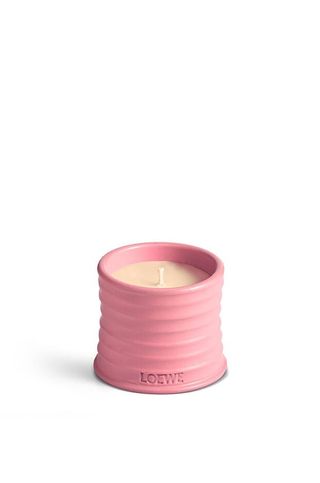 LOEWE Perfumes, Small Ivy Candle