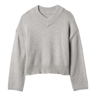 gap, V-Neck Sweater