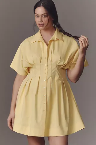 The Tobie Button-Front Pleated Shirt Dress by Exquise: Mini Edition