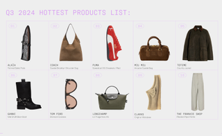 A graphic from Lyst's Q3 2024 Hottest Products List.