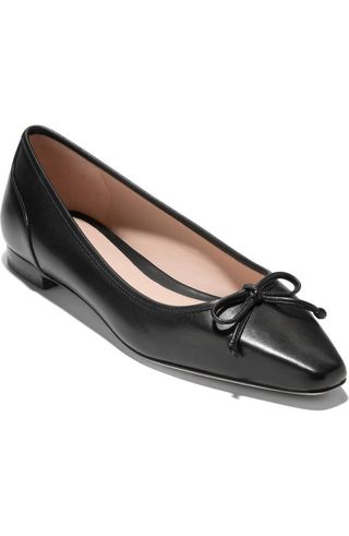 Chlea Pointed Toe Ballet Flat