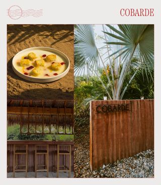 A collage of influencer and restaurant imagery featuring Cobarde in Puerto Escondido, Mexico.