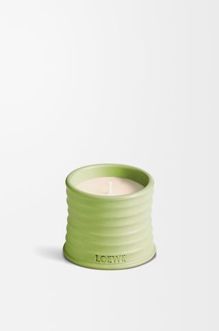 loewe, Small Cucumber Candle