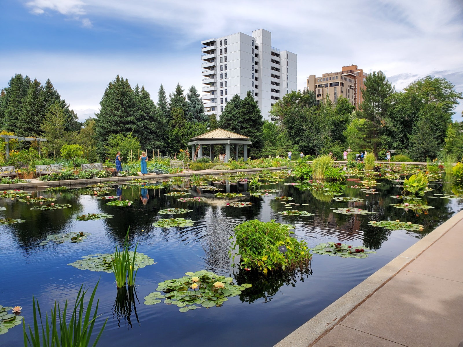 Image may contain Nature Outdoors Pond Water Scenery Grass Park Plant Garden Person City and Architecture