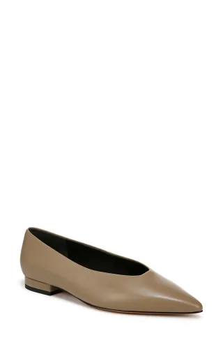 Isabel Pointed Toe Flat